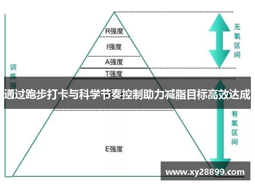 通过跑步打卡与科学节奏控制助力减脂目标高效达成