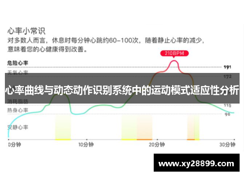心率曲线与动态动作识别系统中的运动模式适应性分析